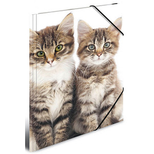 4008705898676 - Zeichenmappen DIN A3 Katzen 4008705898676 3 Stück