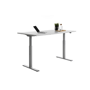 4014296873749 - Sitz-Steh-Schreibtisch E-Table TTS16080GG elektrisch höhenverstellbar 70-120cm (H) 160cmx80cm (BxT) rechteckig lichtgrau   L