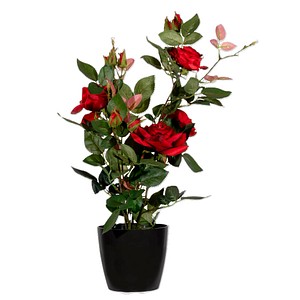 3660141963595 - Kunstpflanze PARROU54 Rosenstock rt 54cm 3660141963595 PAPERFLOW