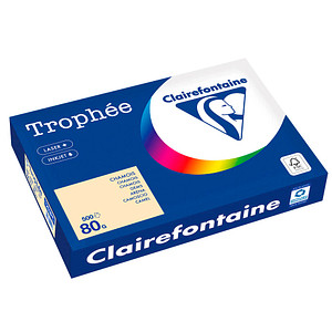 3329680125306 - Kopierpapier Trophee 1253C chamois pastell A3 80g 3329680125306 500 Stück 3329680125306 - Kopierpapier Trophee 1253C chamois pastell A3 80g 3329680125306 500 Stück