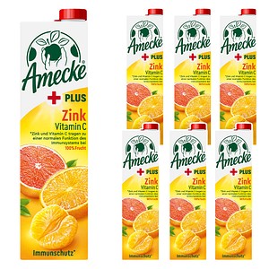 Amecke + Zink Fruchtsaftkonzentrat 6x 1,0 l