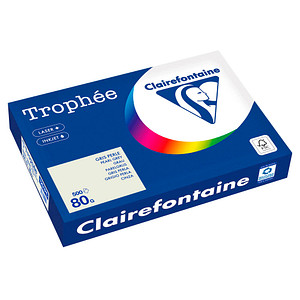 3329680125108 - Kopierpapier Trophee 1251C grau A3 80g  3329680125108 500 Blatt