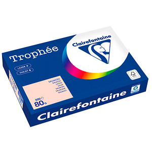 3329680189209 - Kopierpapier Trophee 1892C lachs pastell A3 80g 3329680189209 500 Stück 3329680189209 - Kopierpapier Trophee 1892C lachs pastell A3 80g 3329680189209 500 Stück