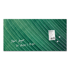 4004360792557 - Glas-Magnettafel artverum 910 x 460 cm Design Palm Leaf matt 4004360792557 SIGEL