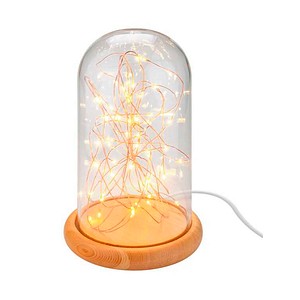goobay LED Dekoleuchte transparent, 1 St.