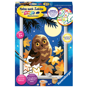 4005556286973 - Ravensburger Malen nach Zahlen 28697- Eule im Mondschein - Kinder ab 7 Jahren 4005556286973 - Ravensburger Malen nach Zahlen 28697- Eule im Mondschein - Kinder ab 7 Jahren