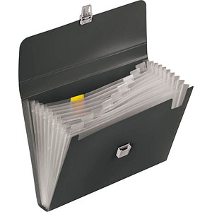 4003273577633 - BRUNNEN Fächermappe FACT!pp 10 Fächer grau 4003273577633 BRUNN