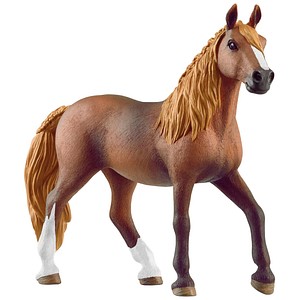 4059433637532 - Horse Club 13953 Paso Peruano Stute Spielfigur 4059433637532 Schleich
