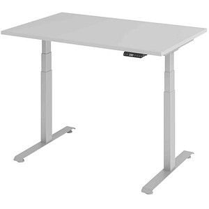 4032062320020 - Base Lite elektrisch höhenverstellbarer Schreibtisch lichtgrau rechteckig T-Fuß-Gestell silber 1200 x 800 cm