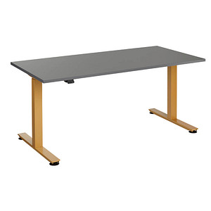 4032062320686 - HAMMERBACHER XMST16 elektrisch höhenverstellbarer Schreibtisch grafit rechteckig T-Fuß-Gestell gold 1600 x 800 cm