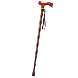 4048792005687 - Holz Gehstock