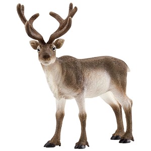 Schleich® Wild Life 14837 Rentier Spielfigur