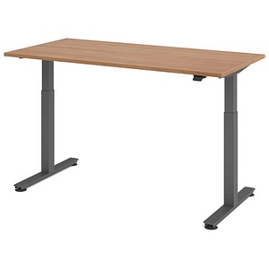 HAMMERBACHER VXMST16 elektrisch höhenverstellbarer Schreibtisch nussbaum rechteckig, T-Fuß-Gestell grau 160,0 x 80,0 cm