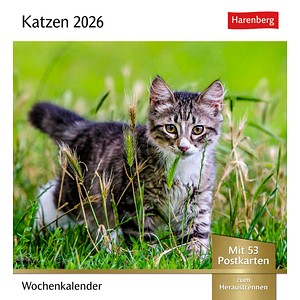 9783840035722 - Katzen Postkartenkalender 2026 - Wochenkalender mit 53 Postkarten 9783840035722 - Katzen Postkartenkalender 2026 - Wochenkalender mit 53 Postkarten