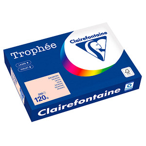 3329680003222 - Kopierpapier Trophée lachs DIN A4 120 gm² 250 Blatt 3329680003222 250 Blatt