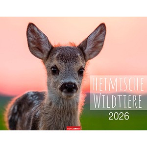 9783839902653 - Monats-Wandkalender Heimische Wildtiere 2026