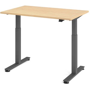 HAMMERBACHER VXMST12 elektrisch höhenverstellbarer Schreibtisch ahorn rechteckig, T-Fuß-Gestell grau 120,0 x 80,0 cm