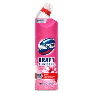 8720182432377 - KRAFT & FRISCHE GEL WC-Reiniger FLORAL FRESH 075 l 8720182432377 750 Milliliter