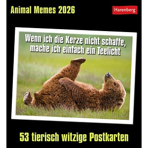 9783840037467 - Gallet Florent Animal Memes Postkartenkalender 2026 - 53 tierisch witzige Postkarten