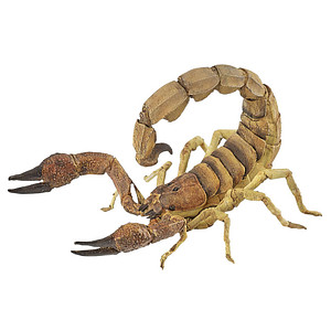 3465000502096 - Wildtiere der Welt 50209 Skorpion Spielfigur 3465000502096 papo