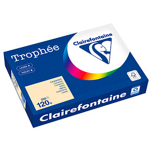 Clairefontaine Kopierpapier Trophée chamois DIN A4 120 g/m² 250 Blatt