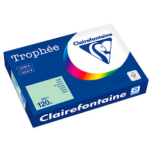 3329680003420 - Kopierpapier Trophée Color 1216PC A4 120g hellgrün  3329680003420 250 Blatt