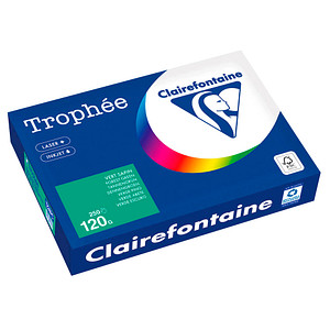 Clairefontaine Kopierpapier Trophée tannengrün DIN A4 120 g/m² 250 Blatt