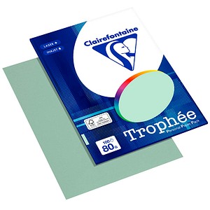 3329680410501 - Kopierpapier Trophée hellgrün DIN A4 80 gm² 100 Blatt 3329680410501 100 Blatt