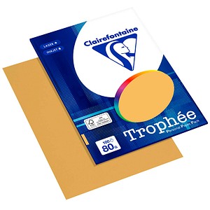 3329680410808 - Kopierpapier Trophee 4108C clementine orange A4 80g  3329680410808 100 Blatt