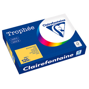 3329680003208 - Kopierpapier Trophée Color 1206PC A4 120g goldgelb  3329680003208 250 Blatt