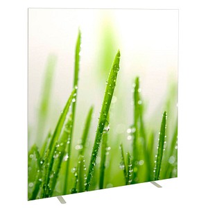 3660141946314 - Trennwand easyScreen ES160014 Gräser bunt 1600 x 1732 cm 1 St