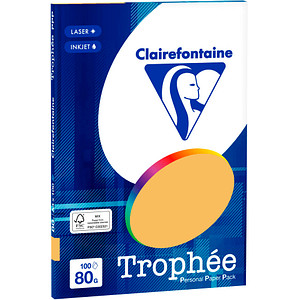 3329680410808 - Kopierpapier Trophee 4108C clementine orange A4 80g  3329680410808 100 Blatt