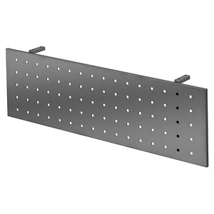 4032062167908 - PRO RSI 12 G Sichtblende zu REGO - Zubehör 120 cm Graphit 4032062167908 - PRO RSI 12 G Sichtblende zu REGO - Zubehör 120 cm Graphit