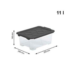 7610859228857 - Rotho EVO SAFE Box mit Deckel anthrazit Kunststoffbox aus lebensmittelechtem PP Fassungsvermögen 11 Liter