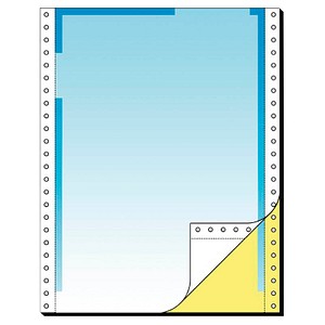 4004360262463 - Endlospapier 26246 A4 hoch blanko 2-fach 12 Zoll x 240 mm 500 Sätze 4004360262463 500 Blatt