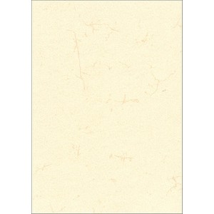 4002871285902 - 2859 ohne Druck 190g weiß Urkunde A3 Elefantenhaut hell 4002871285902 10 Blatt