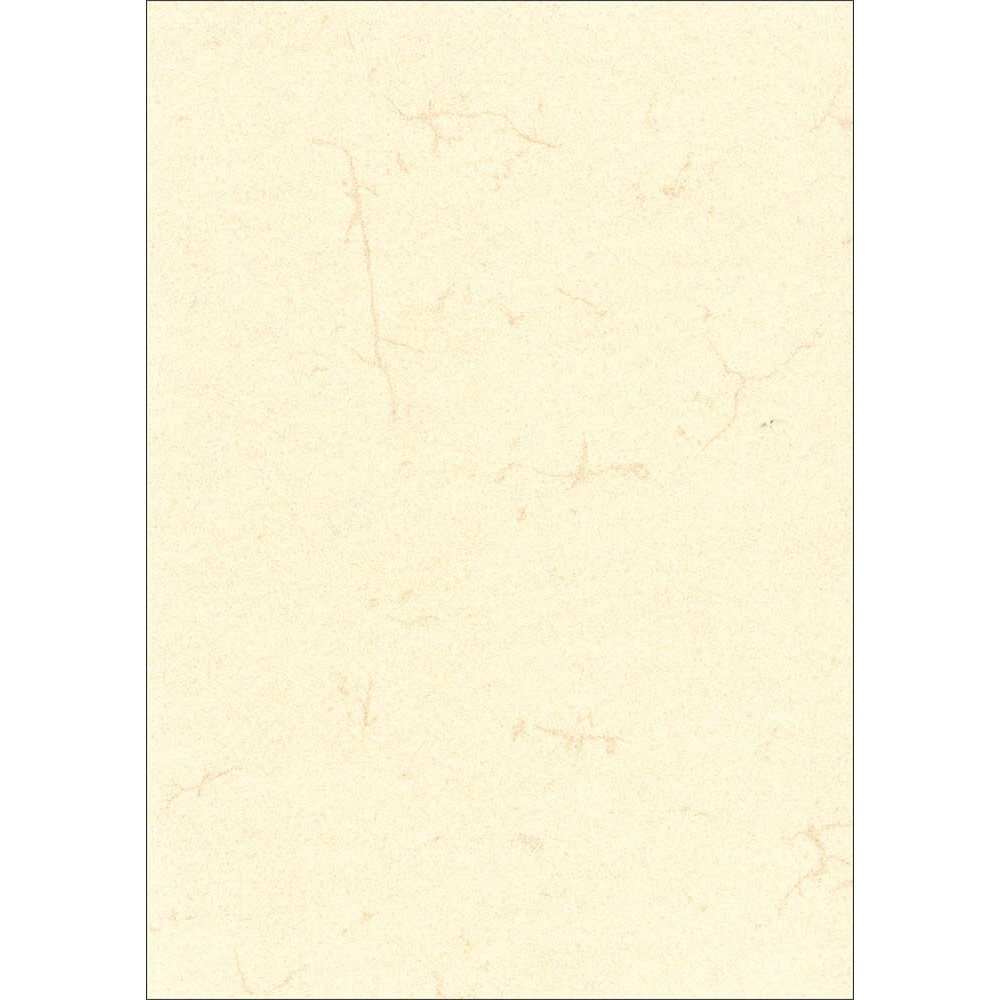 PATIKIL Transparentpapier Block – 50 Blatt A4, 100 G/m², 10 Farben, Zum Durchpausen & Zeichnen