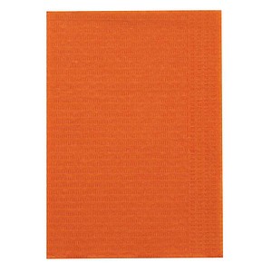 4015544711714 - Patientenservietten orange 2-lagig 460 x 330 cm 125 St 4015544711714 - Patientenservietten orange 2-lagig 460 x 330 cm 125 St