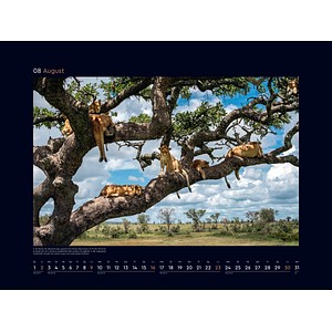 9783965914957 - Das Naturerbe der Welt - KUNTH Wandkalender 2026 9783965914957 - Das Naturerbe der Welt - KUNTH Wandkalender 2026