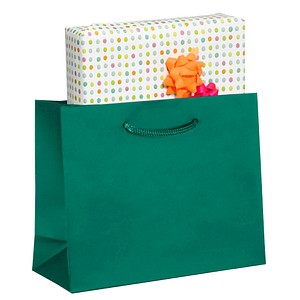 VP Papier-Tragetaschen grün 25,0 x 20,0 cm, 25 St.