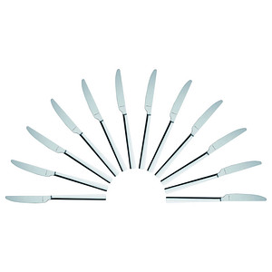 4250184422846 - 12 solex Messer Helena silber 4250184422846 solex 12 Stück 4250184422846 - 12 solex Messer Helena silber 4250184422846 solex 12 Stück