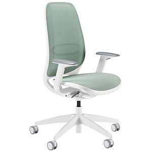 4049694006659 - Bürostuhl seair Lordosenstütze wssalbeigrün 4049694006659 Sedus