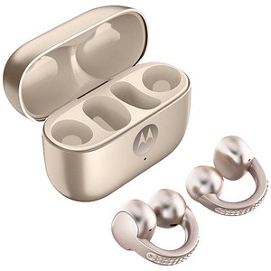 0840023294310 - MOTOROLA moto buds loop In-Ear-Kopfhörer beige