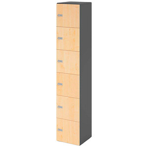 4032062314555 - HAMMERBACHER Schließfachschrank grafit ahorn V264L6 G 3 ZS 6 Schließfächer 400 x 420 x 2156 cm