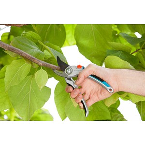 4078500018784 - Alu-Gartenschere B L bis zu Ø 25 mm Schnittstärke 4078500018784 - Alu-Gartenschere B L bis zu Ø 25 mm Schnittstärke