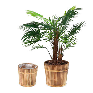 4052025376055 - Pflanzkübel Holz braun rund 240190 x 210180 cm 4052025376055 relaxdays 2 Stück 4052025376055 - Pflanzkübel Holz braun rund 240190 x 210180 cm 4052025376055 relaxdays 2 Stück