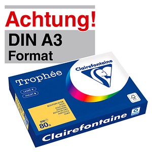 3329680125504 - Kopierpapier Trophee 1255C goldgelb pastell A3 80g  3329680125504 500 Stück