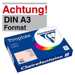 3329680189209 - Kopierpapier Trophee 1892C lachs pastell A3 80g 3329680189209 500 Stück 3329680189209 - Kopierpapier Trophee 1892C lachs pastell A3 80g 3329680189209 500 Stück