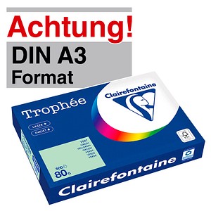 3329680188202 - Kopierpapier Trophee 1882C hellgrün pastell A3 80g 3329680188202 500 Stück 3329680188202 - Kopierpapier Trophee 1882C hellgrün pastell A3 80g 3329680188202 500 Stück