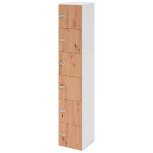 4032062314685 - HAMMERBACHER Schließfachschrank weiß asteiche V264L6 W R ZS 6 Schließfächer 400 x 420 x 2156 cm